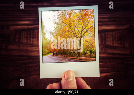Main tenant photographie polaroïd du chemin rural entre les arbres d'automne avec feuillage doré. Alfred Nicholas Memorial Gardens, Melbourne, Australie. Billet d Banque D'Images