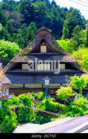 Jano-Yu Onsen Takara-so Hinohara-mura Tokyo Japon Banque D'Images