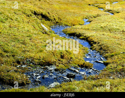 Agriculture agriculture bucolique alp stream Solitude Solitude paix farmer Banque D'Images