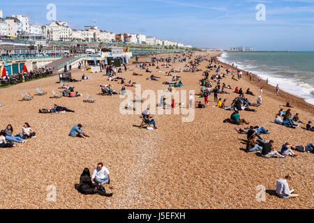 La plage de Brighton, Brighton, East Sussex, UK Banque D'Images