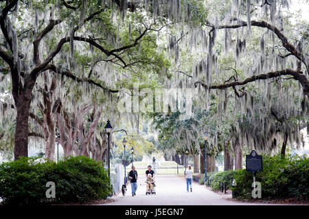 Georgia Savannah, quartier historique de Savannah, Forsyth Park, sentier ombragé, arbre drapé de mousse, homme hommes hommes adultes, femme femmes, chien, famille famil Banque D'Images