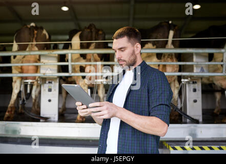 Jeune homme avec tablet pc et les vaches sur ferme laitière Banque D'Images