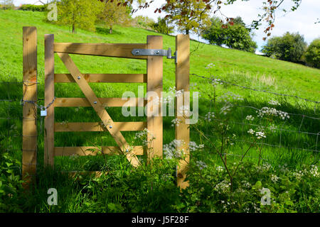 La sécurisation de la chaîne et cadenas barrière en bois à un poste à l'entrée d'un pré. Banque D'Images