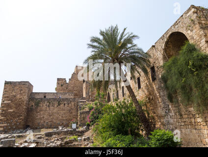 L'ancien château, le Mont Liban Gouvernorat, Byblos, Liban Banque D'Images