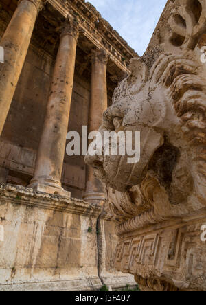 Sculpture de lion en face du temple de Bacchus dans le site archéologique, le gouvernorat de la Bekaa, à Baalbek, Liban Banque D'Images