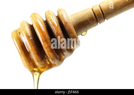 Cuillère de miel fait olivewood against white background Banque D'Images