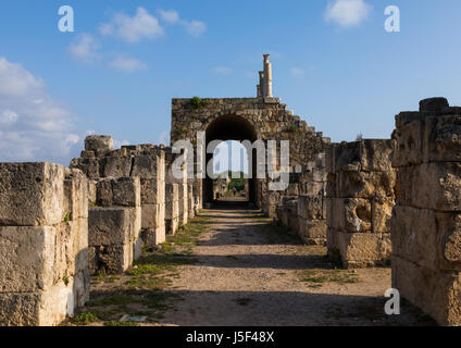 À l'hippodrome en tribune à al Bass site, gouvernorat du Sud, tire, Liban Banque D'Images