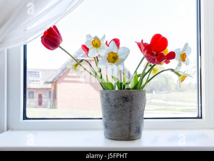 Printemps bouquet de tulipes rouges et des jonquilles dans un vase sur la fenêtre. Banque D'Images