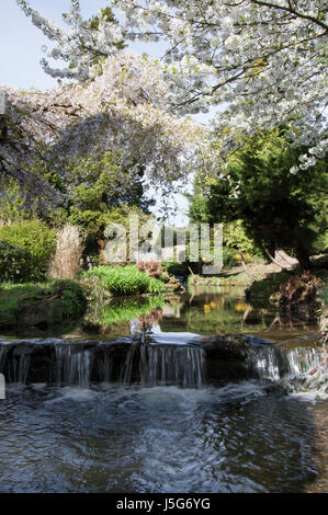 Un homme fait une chute d'eau dans les jardins à Newstead Abbey, Nottinghamshire Banque D'Images