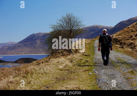 Homme seul randonneur sur une piste près de Loch Cluanie sur la Route de la montagne écossais Beinn Loinne Corbett dans Glen Shiel, Kintail, N/W Highlands écossais, Banque D'Images