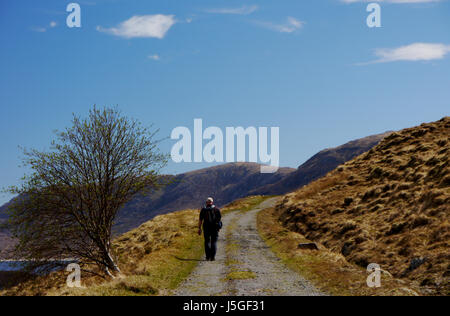 Homme seul randonneur sur une piste près de Loch Cluanie sur la Route de la montagne écossais Beinn Loinne Corbett dans Glen Shiel, Kintail, N/W Highlands écossais, Banque D'Images