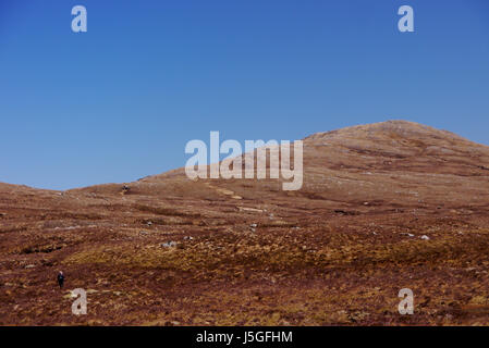 Homme seul randonneur gravir les montagnes écossais Beinn Loinne Corbett dans Glen Shiel, Kintail, N/W Scottish Highlands, Ecosse UK Banque D'Images