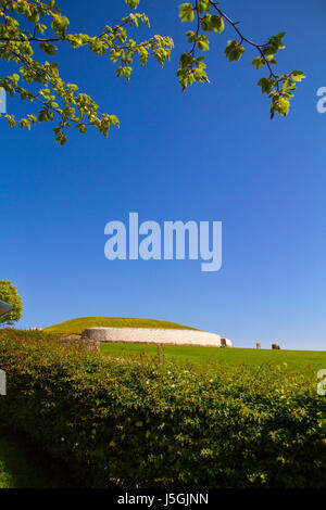 Newgrange est un vieux passage de l'année 5 200 tombeau situé dans la vallée de la Boyne en Irlande, l'ancienne est. Banque D'Images