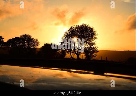 Pays de Galles Aberystwyth UK, le mercredi 17 mai 2017 Météo Royaume-uni : La lumière dorée du coucher de soleil derrière les arbres dans slhouetted le paysage près de l'ouest du pays de Galles à Aberystwyth crédit photo Keith Morris / Alamy live news Banque D'Images