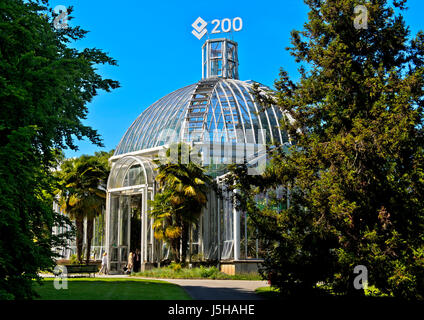 Genève, Suisse. 17 mai 2017. Le Conservatoire et Jardin botanique de la ville de Genève, Conservatoire et Jardin Botaniques de la Ville de Genève, de célébrer le bicentenaire de leur fondation en 1807. Une vue de la Jardin botanique de Genève est l'effet de serre pour les plantes des zones climatiques tempérées. Crédit : Collection GFC/Alamy Live News Banque D'Images