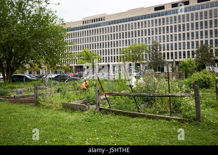 Jardin communautaire sur le site du projet de Dwight D. Eisenhower memorial sur le Maryland et de l'indépendance avenue Washington DC USA Banque D'Images