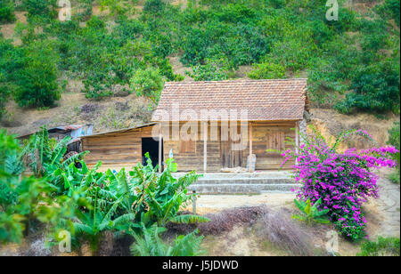 Petite maison sur une colline avec des fleurs en papier ornent plus belle prairie de Lam Dong, Vietnam Banque D'Images