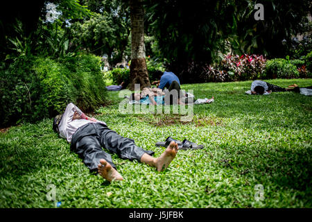 Un homme de prendre un déjeuner sieste dans un parc à Mumbai, Inde. Banque D'Images