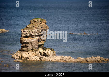 La Leas coastal path, Marsden bay, South Shields Banque D'Images