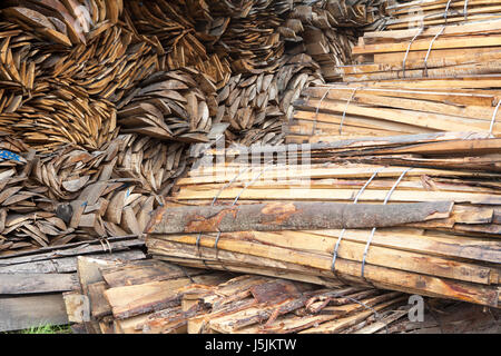 Pile de bois de hêtre, Allemagne Banque D'Images