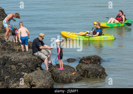 Les gens sur les rochers au bord de la mer, sur une journée ensoleillée à Herne Bay, Kent. Les familles sont à la recherche des crabes dans les rochers. Banque D'Images