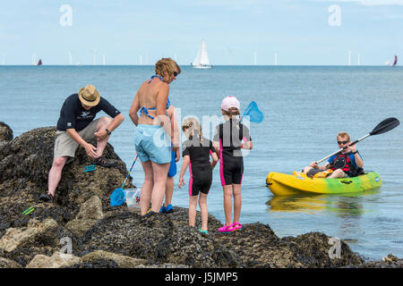 Les gens sur les rochers au bord de la mer, sur une journée ensoleillée à Herne Bay, Kent. Les familles sont à la recherche des crabes dans les rochers. Banque D'Images