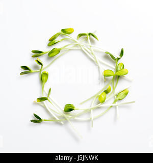 Mini legumes disposées en cercle sur fond blanc. Les pousses de tournesol, microgreens. Mise à plat. Nature et aliments sains eco concept. Banque D'Images