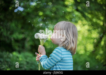 Little girl blowing dandelions outdoors Banque D'Images