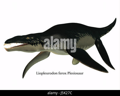 Liopleurodon était un reptile marin carnivore qui vit dans les mers du Jurassique de la France et l'Angleterre. Banque D'Images