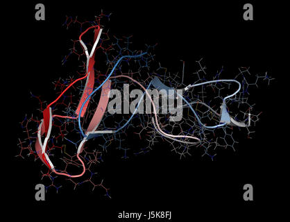 La chaîne alpha du récepteur de l'interleukine-2 (CD25, domaine extracellulaire). CD25 est la cible de l'anticorps monoclonal daclizumab des drogues. Banque D'Images