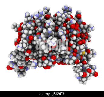 L'interleukine 8 (IL-8), protéine de cytokines. IL8 peuvent être sécrétées par les macrophages et un certain nombre d'autres types de cellules. Banque D'Images