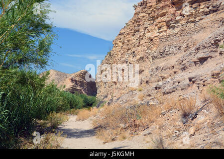 La formation Boquilla montre des millions d'années de couches de roches le long des rives du Rio Grande au Sentier des sources chaudes dans la région de Big Bend National Park Banque D'Images