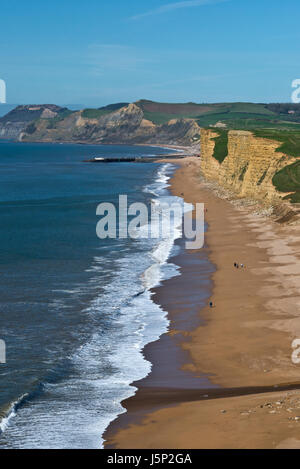 Voir à marée basse le long de la Côte Jurassique Dorsets vers le Cap d'or depuis les falaises à Burton Bradstock. Partie de la South West Coast Path Banque D'Images