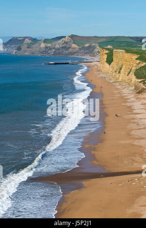 Voir à marée basse le long de la Côte Jurassique Dorsets vers le Cap d'or depuis les falaises à Burton Bradstock. Partie de la South West Coast Path Banque D'Images