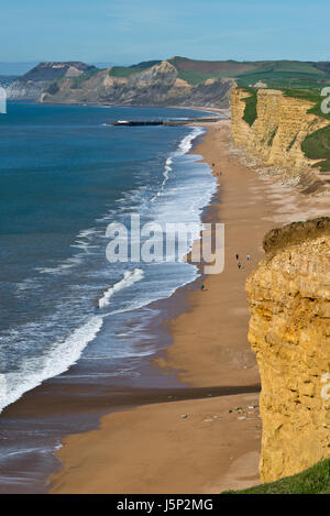 Voir à marée basse le long de la Côte Jurassique Dorsets vers le Cap d'or depuis les falaises à Burton Bradstock. Partie de la South West Coast Path Banque D'Images