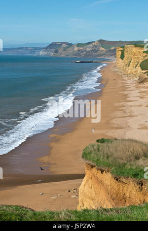 Voir à marée basse le long de la Côte Jurassique Dorsets vers le Cap d'or depuis les falaises à Burton Bradstock. Partie de la South West Coast Path Banque D'Images