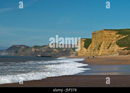 Voir à marée basse le long de la Côte Jurassique Dorsets vers le Cap d'or de la plage de Burton Bradstock. Partie de la South West Coast Path Banque D'Images