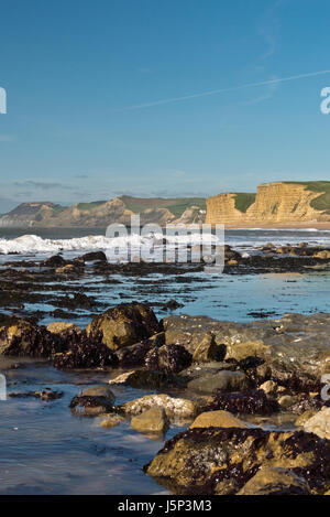 Voir à marée basse le long de la Côte Jurassique Dorsets vers le Cap d'or de la plage de Burton Bradstock. Partie de la South West Coast Path Banque D'Images