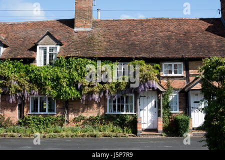 La glycine de croissant sur les cottages en Bridge End, Warwick, Warwickshire, UK Banque D'Images