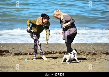 Pays de Galles Aberystwyth Uk, jeudi 18 mai 2017 UK Weather : Personnes bénéficiant d'un beau matin ensoleillé et chaud à Aberystwyth, sur la côte de la Baie de Cardigan , West Wales crédit photo Keith Morris / Alamy Live News Banque D'Images