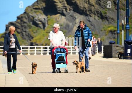 Pays de Galles Aberystwyth Uk, jeudi 18 mai 2017 UK Weather : Personnes bénéficiant d'un beau matin ensoleillé et chaud à Aberystwyth, sur la côte de la Baie de Cardigan , West Wales crédit photo Keith Morris / Alamy Live News Banque D'Images