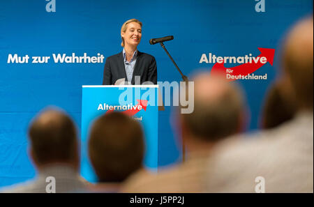 Stuttgart-Bad Cannstatt, Allemagne. 18 mai, 2017. L'AfD est le premier candidat, Alice Weidel, donne la parole durant l'activité de lancement de l'intervention de l'AfD Baden-Wurttemberg chapter's Bundestag (parlement fédéral) campagne électorale de Stuttgart-Bad Cannstatt, Allemagne, 18 mai 2017. Photo : Daniel Maurer/dpa/Alamy Live News Banque D'Images