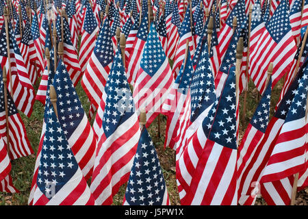 Dallas, Texas, USA. 18 mai, 2017. En prévision de Memorial Day, un coin de rue a été décorée avec un champ de centaines de drapeaux américains. Keith crédit Adamek/Alamy Live News Banque D'Images