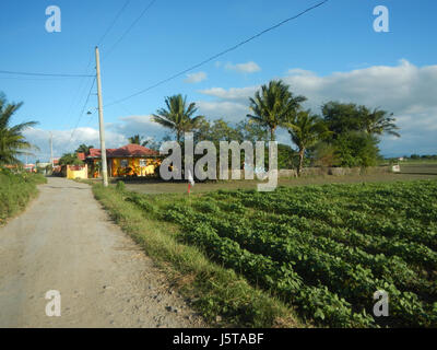 Cette image représente les sites agricoles de Hulo, Hilerang Patubig et Tagulod à Candaba, Pampanga, mettant en valeur le paysage rural et les activités agricoles de la région. Banque D'Images
