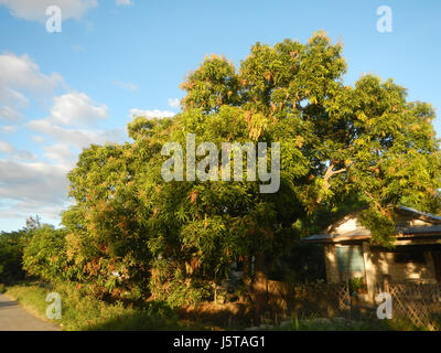 Cette image représente l'arc de bienvenue à Cuayang Bugtong, Candaba, Pampanga, Philippines. La région est connue pour son paysage agricole, y compris les champs, les fermes et les marchés locaux le long des routes. Banque D'Images