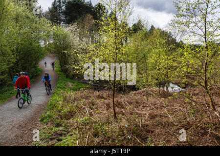 Randonnée à vélo dans la région de Delamere Forest, Cheshire Banque D'Images