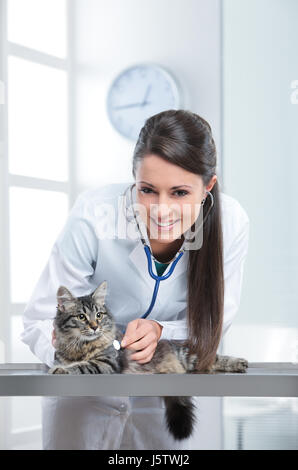 Belle femme de race blanche de l'examen vétérinaire un chaton Banque D'Images