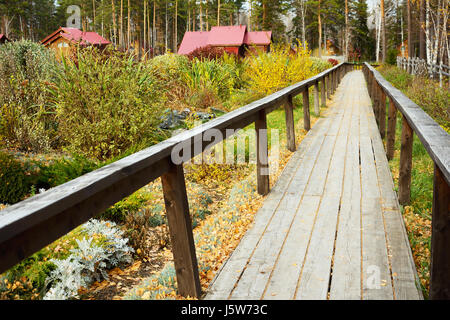 Passerelle en bois avec garde-corps dans le jardin d'automne Banque D'Images