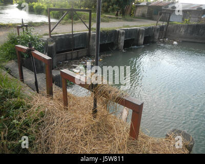 01083 arbres étangs à l'irrigation des rizières Site Sakdalan San Jose 03 Plaridel Banque D'Images