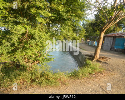 01083 arbres étangs à l'irrigation des rizières Site Sakdalan San Jose 04 Plaridel Banque D'Images